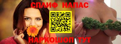 ешки Шелехов