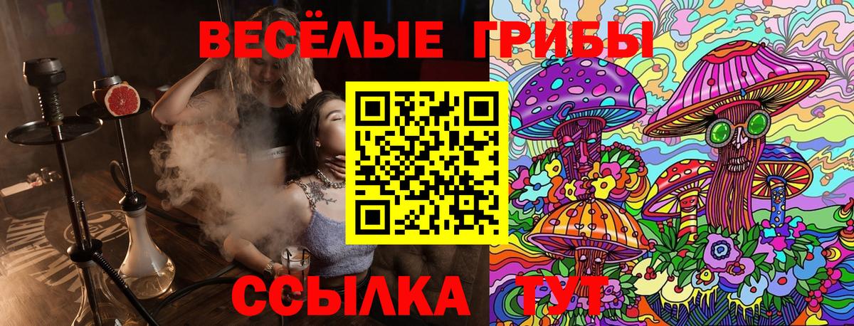 Галлюциногенные грибы Psilocybe  Вход с VPN  Ахтубинск  где купить   Галлюциногенные грибы Psilocybe 